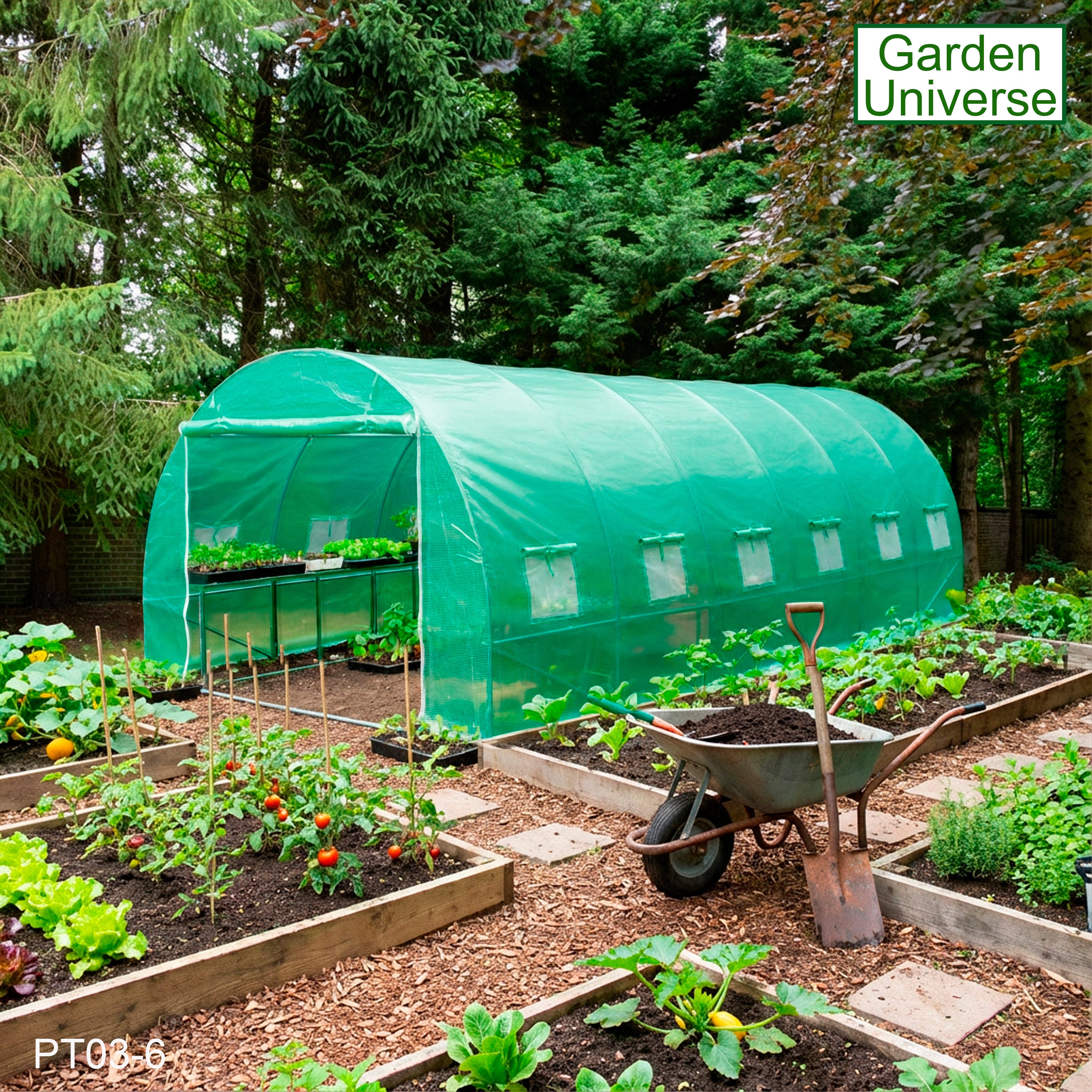 Polytunnel 3m x 6m with 25mm Galvanised Steel Frame PT03-6