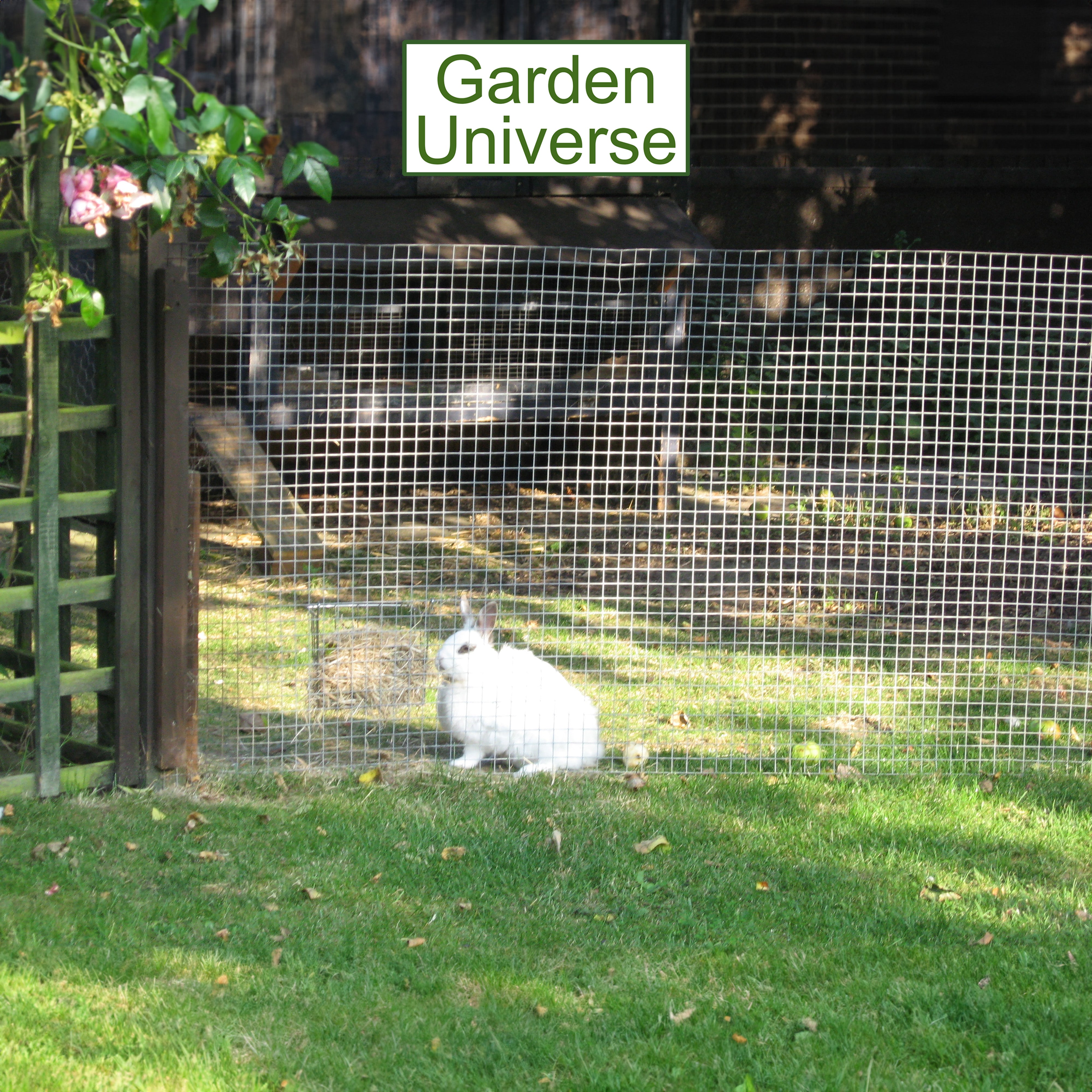 Welded Wire Mesh Galvanised Garden Universe Hole Size 12.5mm x 12.5mm (1/2"x1/2") H 120cm x L 15m Garden Fence W01-9